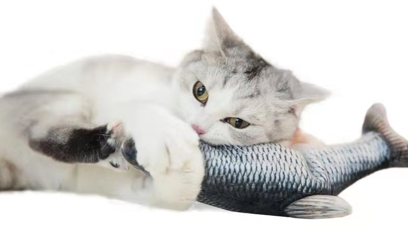 猫のおもちゃ】ダンシングフィッシュ ウグイ 本体 動く 踊る バタバタ
